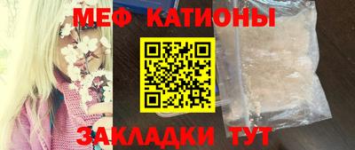 прущие грибы Дубна