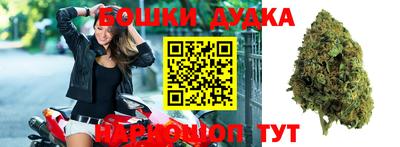 прущие грибы Дубна
