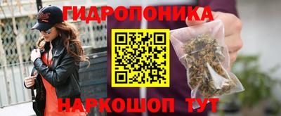 прущие грибы Дубна