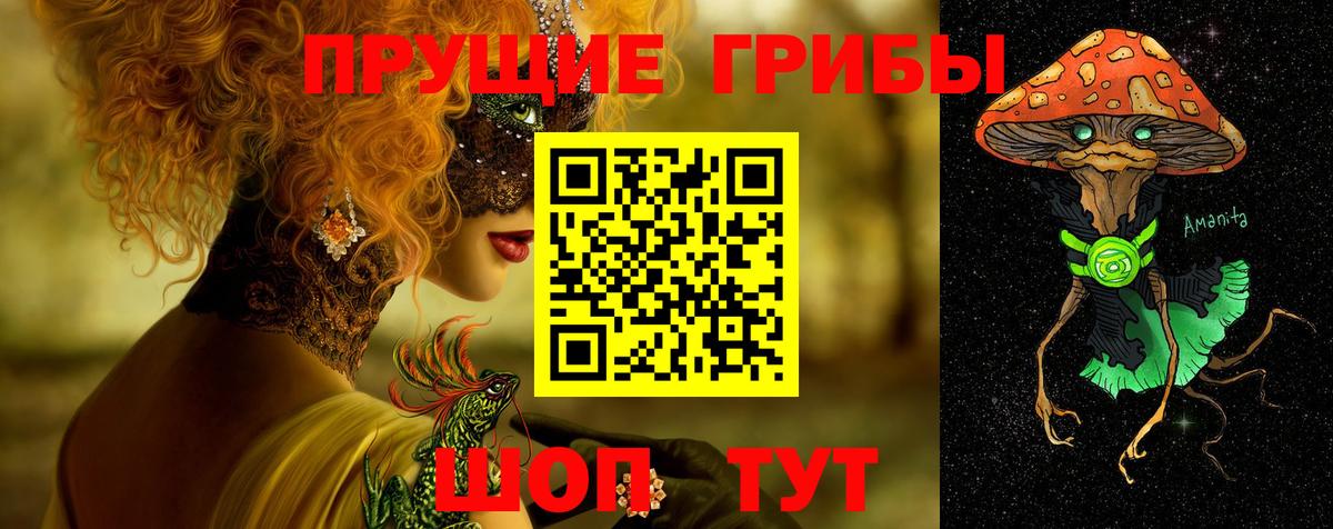Лянтор  Псилоцибиновые грибы Psilocybine cubensis  Вход с VPN 
